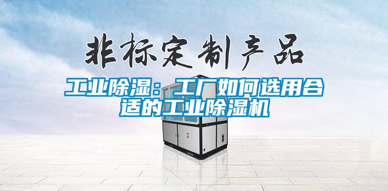 工業除濕：工廠如何選用合適的工業除濕機