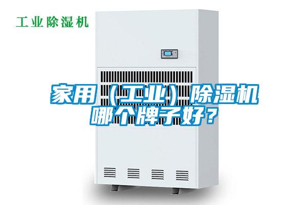 家用（工業）除濕機哪個牌子好？