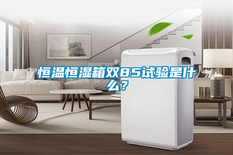 恒溫恒濕箱雙85試驗(yàn)是什么？