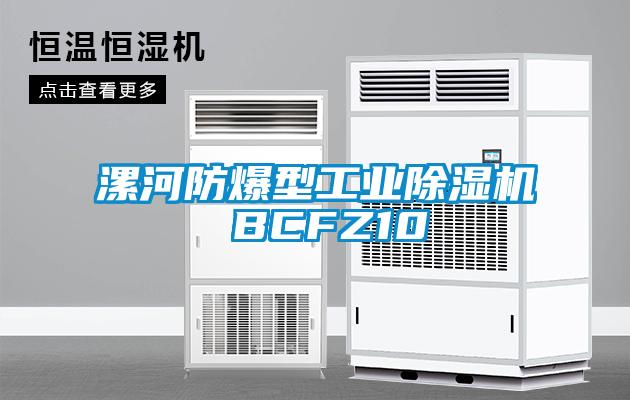 漯河防爆型工業除濕機 BCFZ10