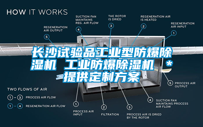 長沙試驗(yàn)品工業(yè)型防爆除濕機(jī) 工業(yè)防爆除濕機(jī) ＊提供定制方案