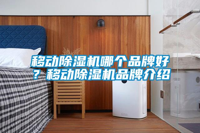 移動除濕機哪個品牌好？移動除濕機品牌介紹