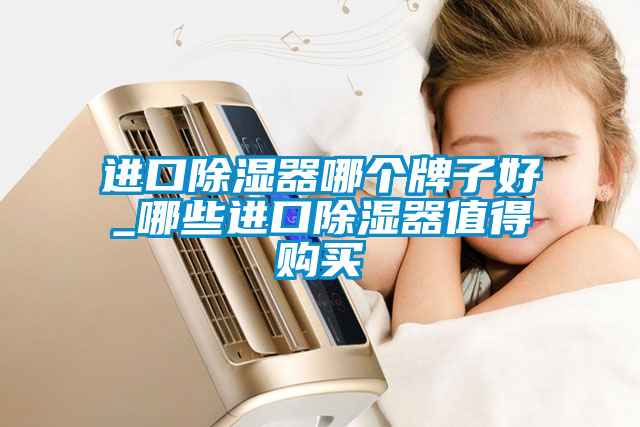進(jìn)口除濕器哪個(gè)牌子好_哪些進(jìn)口除濕器值得購(gòu)買(mǎi)