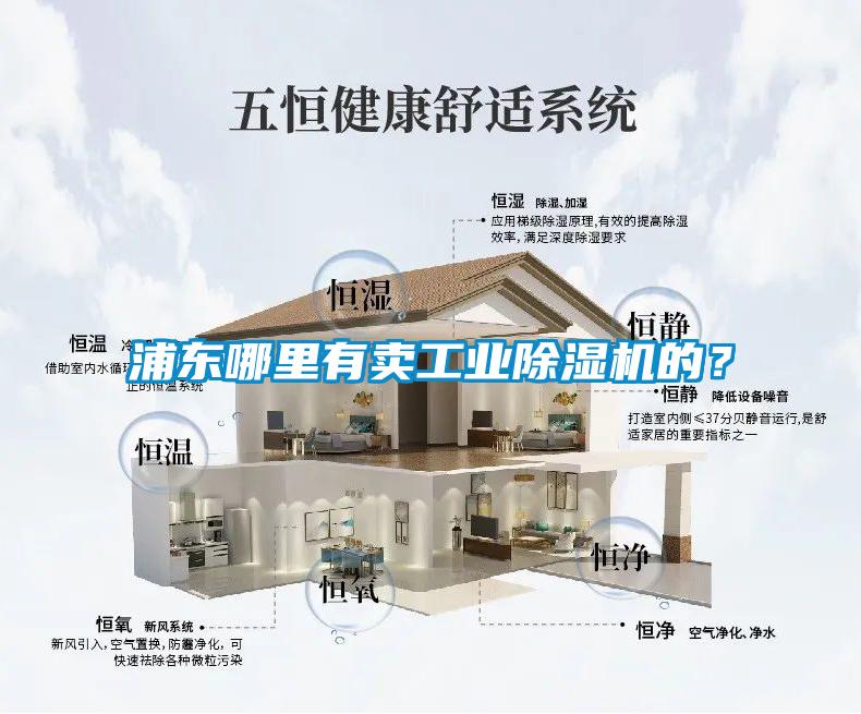浦東哪里有賣工業除濕機的？