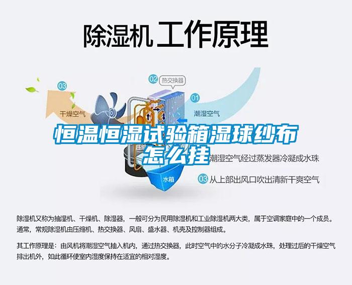 恒溫恒濕試驗(yàn)箱濕球紗布怎么掛