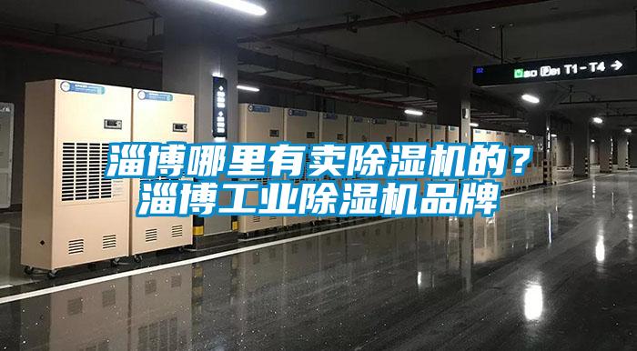 淄博哪里有賣除濕機的？淄博工業除濕機品牌