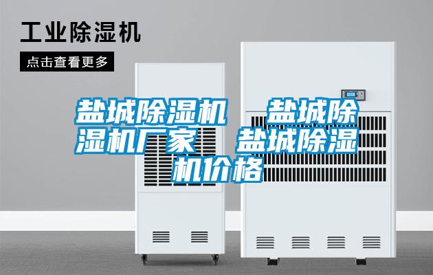 鹽城除濕機(jī)  鹽城除濕機(jī)廠家  鹽城除濕機(jī)價(jià)格
