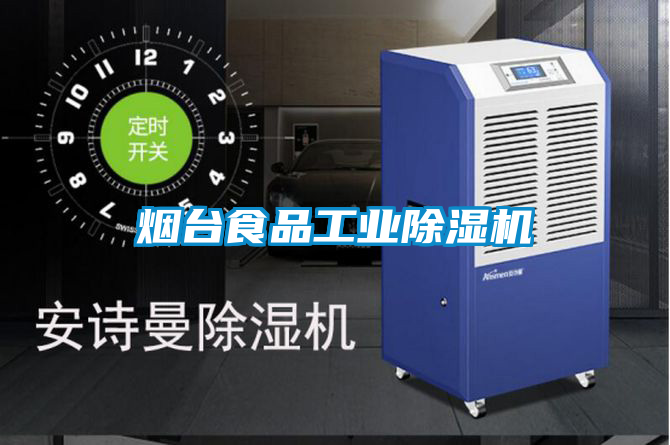 煙臺食品工業除濕機