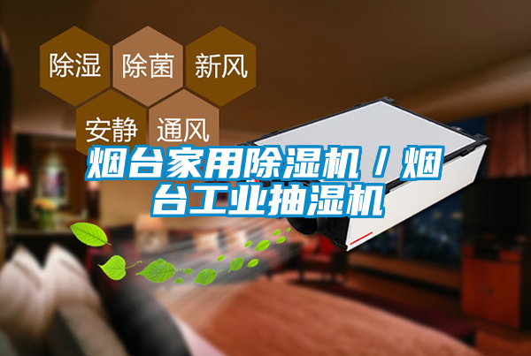 煙臺家用除濕機(jī)／煙臺工業(yè)抽濕機(jī)