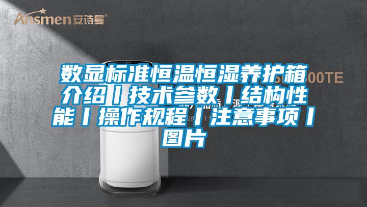 數顯標準恒溫恒濕養護箱介紹丨技術參數丨結構性能丨操作規程丨注意事項丨圖片