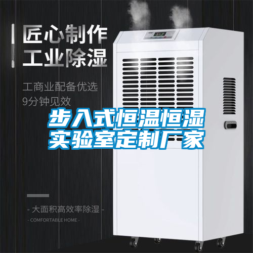 步入式恒溫恒濕實驗室定制廠家