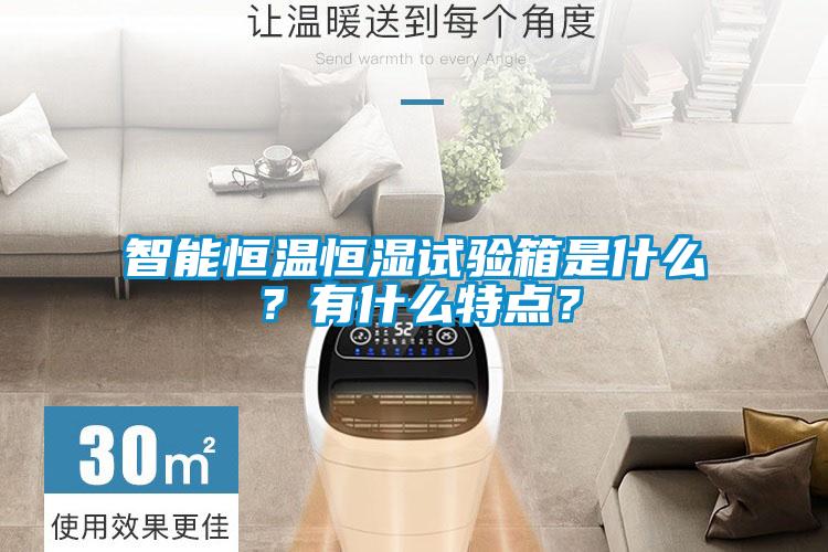 智能恒溫恒濕試驗箱是什么？有什么特點？