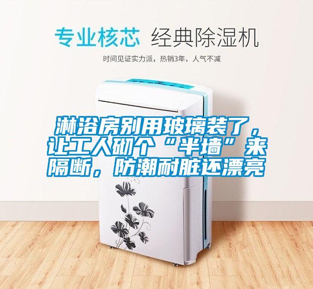 淋浴房別用玻璃裝了，讓工人砌個“半墻”來隔斷，防潮耐臟還漂亮