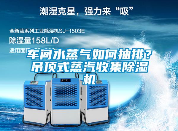 車間水蒸氣如何抽排？吊頂式蒸汽收集除濕機