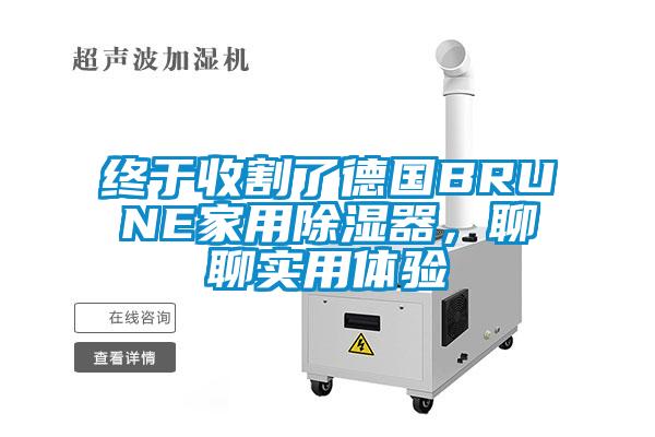 終于收割了德國BRUNE家用除濕器，聊聊實用體驗