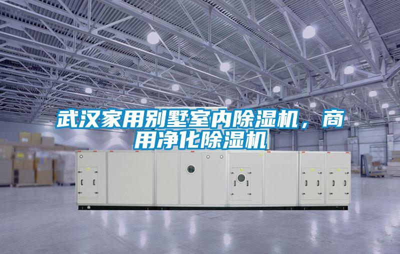 武漢家用別墅室內(nèi)除濕機(jī)，商用凈化除濕機(jī)
