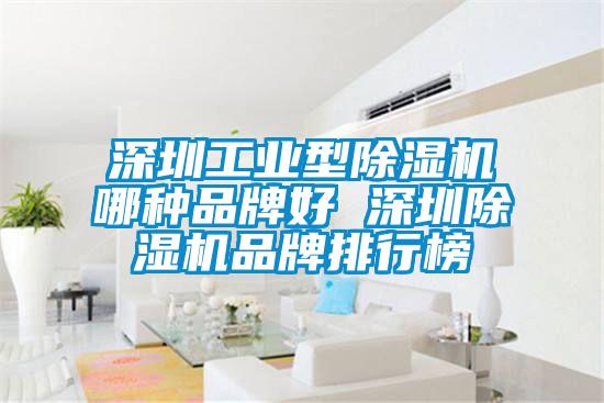 深圳工業型除濕機哪種品牌好 深圳除濕機品牌排行榜
