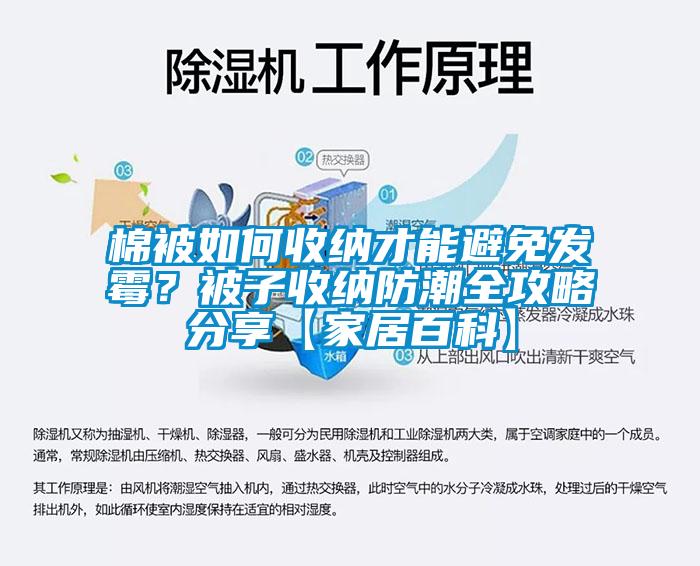 棉被如何收納才能避免發霉？被子收納防潮全攻略分享【家居百科】