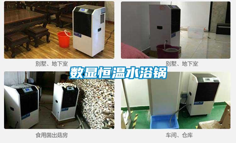 數顯恒溫水浴鍋
