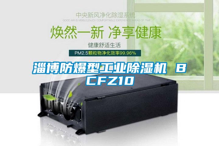 淄博防爆型工業除濕機 BCFZ10