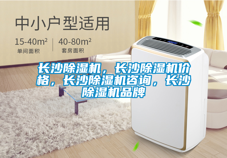 長沙除濕機，長沙除濕機價格，長沙除濕機咨詢，長沙除濕機品牌