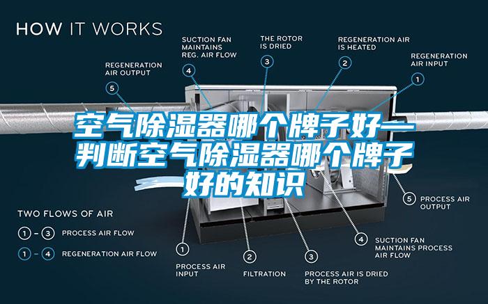 空氣除濕器哪個(gè)牌子好—判斷空氣除濕器哪個(gè)牌子好的知識(shí)
