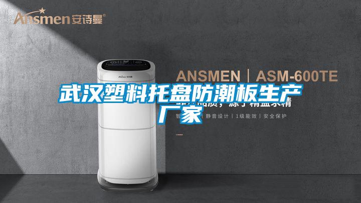 武漢塑料托盤防潮板生產廠家