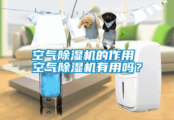 空氣除濕機的作用 空氣除濕機有用嗎？
