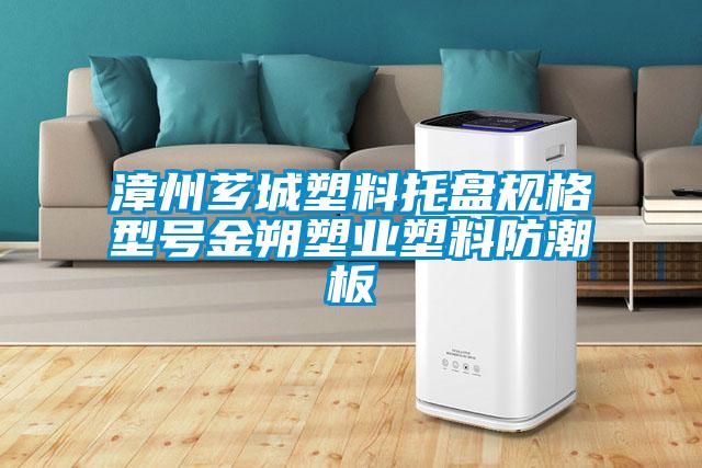 漳州薌城塑料托盤規格型號金朔塑業塑料防潮板