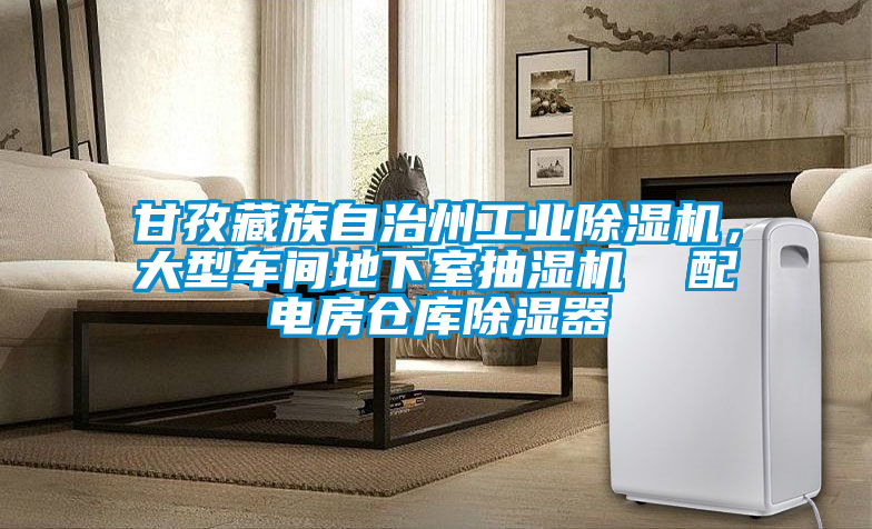 甘孜藏族自治州工業(yè)除濕機(jī)，大型車間地下室抽濕機(jī)  配電房倉(cāng)庫(kù)除濕器