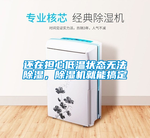 還在擔心低溫狀態無法除濕，除濕機就能搞定