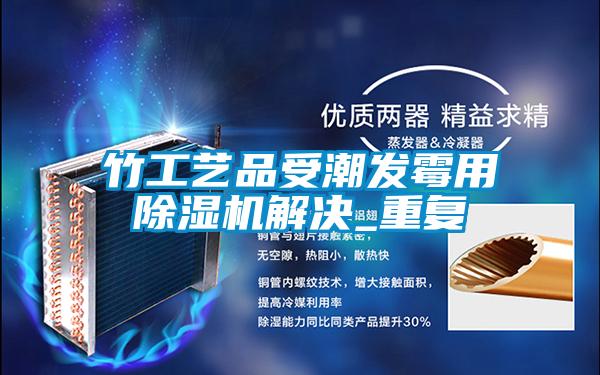 竹工藝品受潮發(fā)霉用除濕機解決_重復