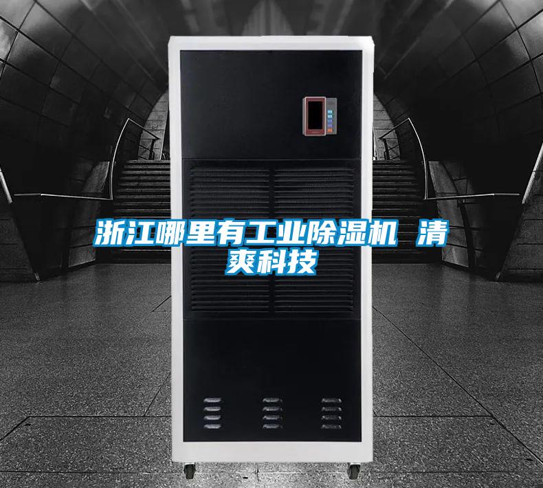 浙江哪里有工業除濕機 清爽科技