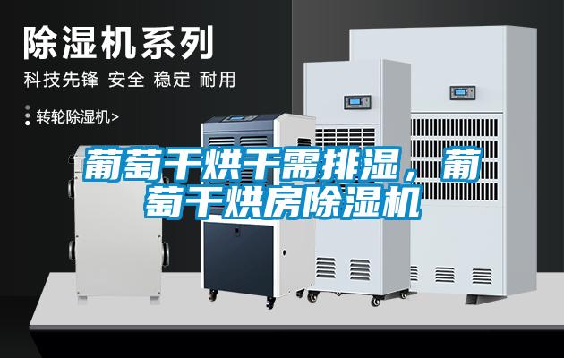 葡萄干烘干需排濕，葡萄干烘房除濕機