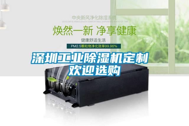 深圳工業除濕機定制 歡迎選購