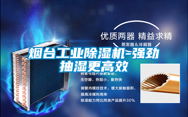 煙臺工業除濕機-強勁抽濕更高效