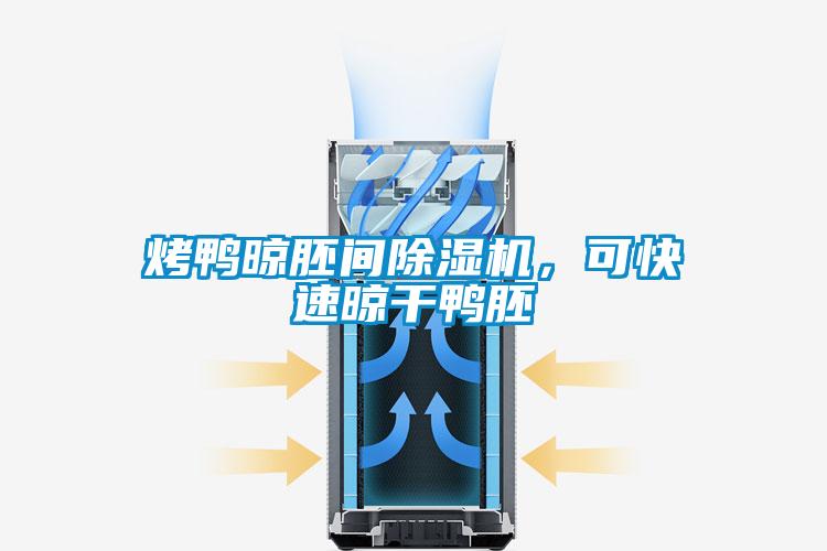 烤鴨晾胚間除濕機，可快速晾干鴨胚