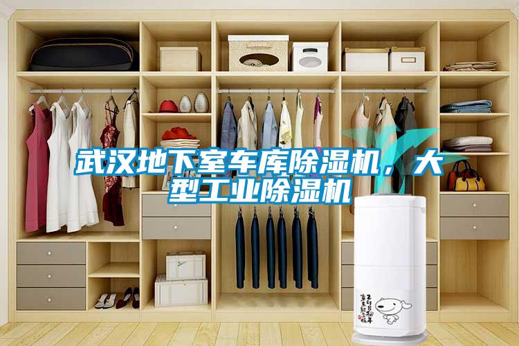 武漢地下室車庫除濕機，大型工業除濕機