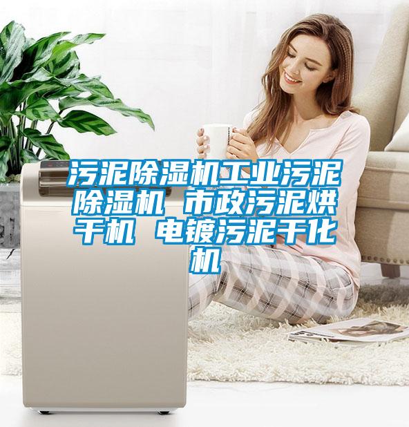 污泥除濕機工業污泥除濕機 市政污泥烘干機 電鍍污泥干化機