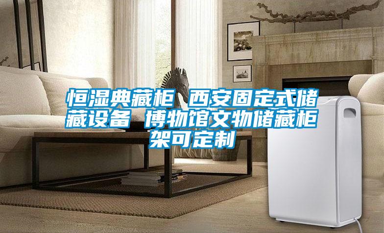 恒濕典藏柜 西安固定式儲藏設備 博物館文物儲藏柜架可定制