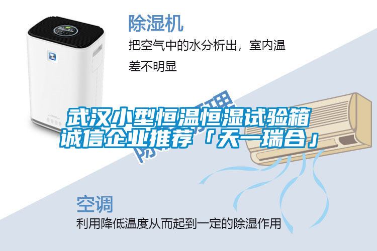 武漢小型恒溫恒濕試驗箱誠信企業(yè)推薦「天一瑞合」