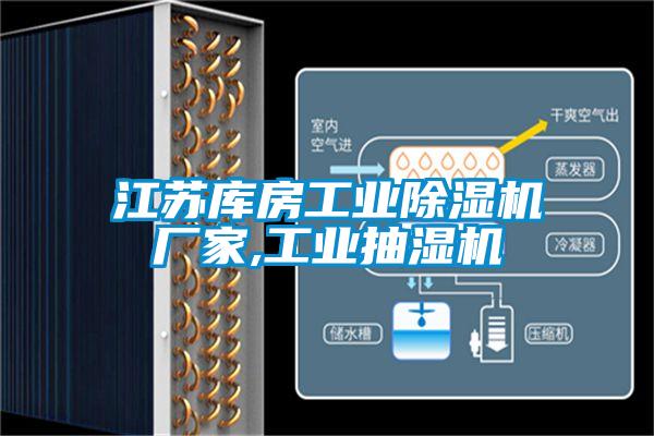 江蘇庫房工業除濕機廠家,工業抽濕機