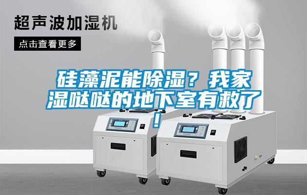 硅藻泥能除濕？我家濕噠噠的地下室有救了！