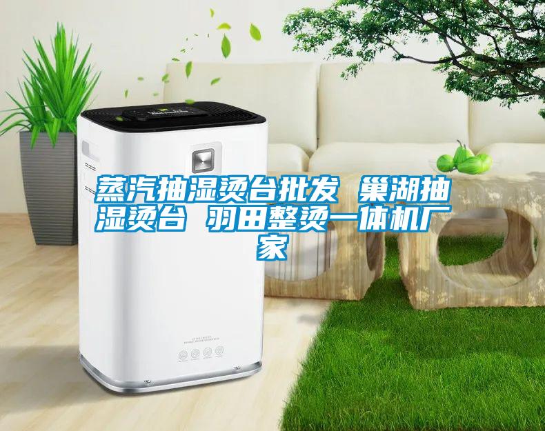 蒸汽抽濕燙臺批發 巢湖抽濕燙臺 羽田整燙一體機廠家