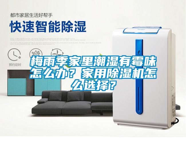 梅雨季家里潮濕有霉味怎么辦？家用除濕機怎么選擇？