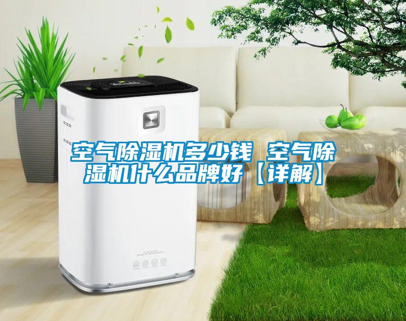 空氣除濕機多少錢 空氣除濕機什么品牌好【詳解】