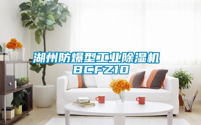 湖州防爆型工業除濕機 BCFZ10