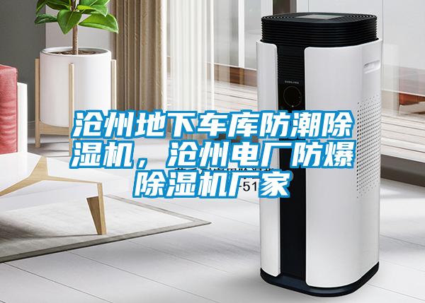 滄州地下車庫防潮除濕機，滄州電廠防爆除濕機廠家
