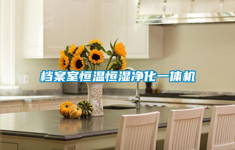 檔案室恒溫恒濕凈化一體機