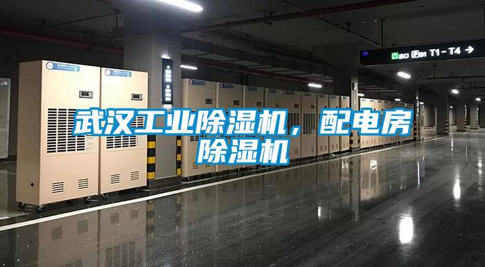 武漢工業除濕機，配電房除濕機